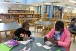 Battle of the Books